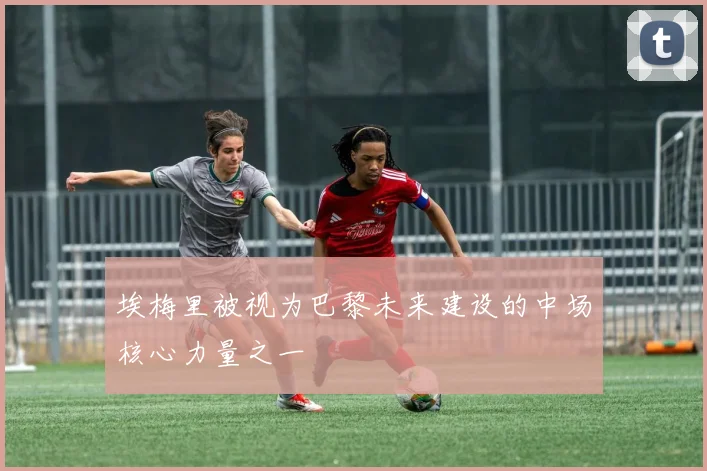 埃梅里被视为巴黎未来建设的中场核心力量之一