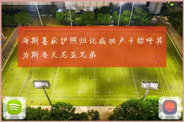 海斯喜获护照归化成功卢卡称呼其为斯洛文尼亚兄弟